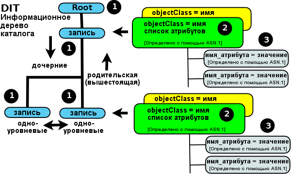   LDAP