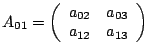 $A_{01}=\left(\begin{array}{cc}
a_{02} & a_{03}\\
a_{12} & a_{13}\end{array}\right)$